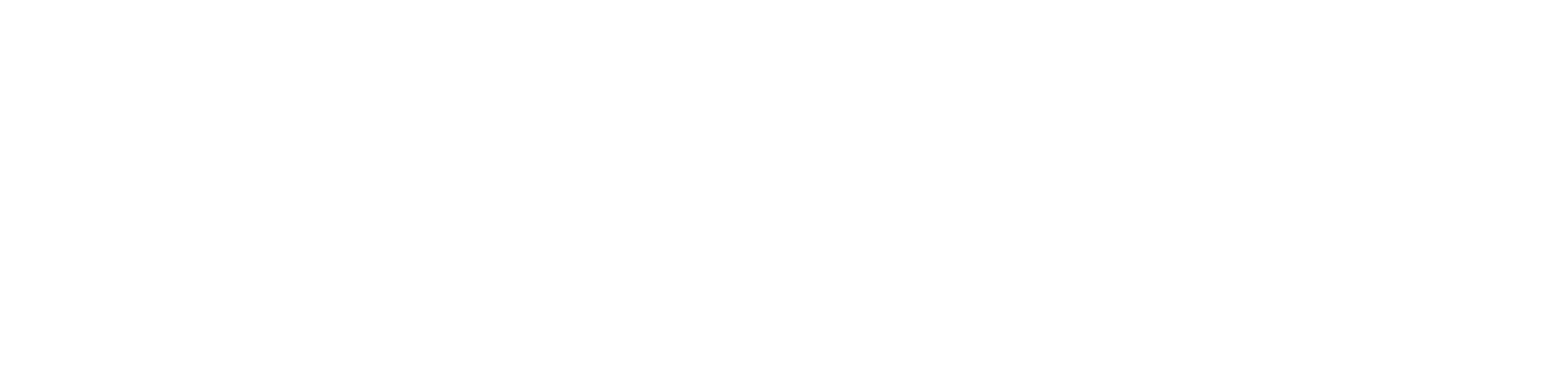 Siemens Stiftung